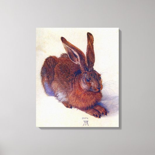 Jong konijn van Albrecht Durer, Renaissance-schild Canvas Afdruk (Voorkant)