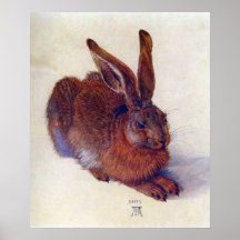 Jong konijn van Albrecht Durer, Renaissance-schild