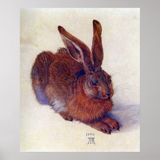 Jong konijn van Albrecht Durer, Renaissance-schild Poster (Voorkant)