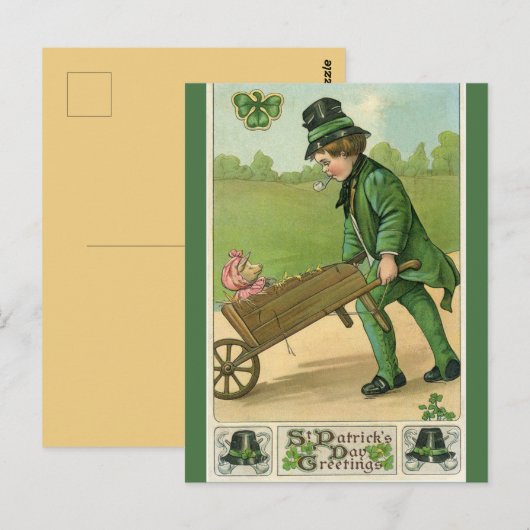 Jong Man en Varken St Patricks Groet Briefkaart (Voorkant / Achterkant)