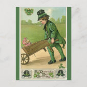 Jong Man en Varken St Patricks Groet Briefkaart (Voorkant)
