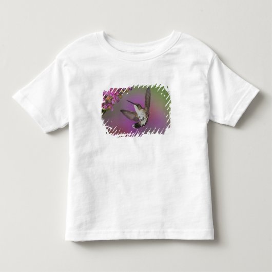 Jong mannelijk Robijnkeelkolibrie Kinder Shirts (Voorkant)