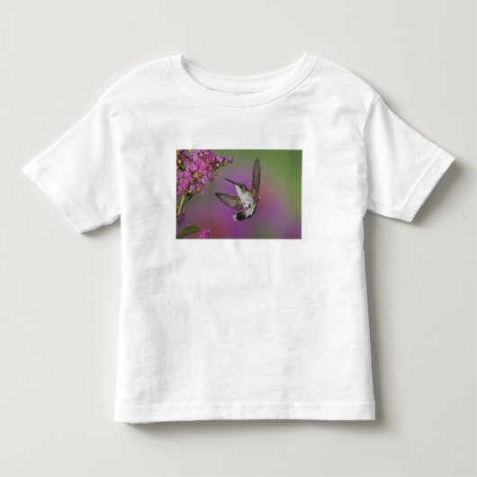 Jong mannelijke Robijnkeelkolibrie Kinder Shirts (Voorkant)