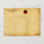 JONG MEISJE, ANTIEK VINEYARD GRAPES EN WIJN BRIEFKAART (Achterkant)