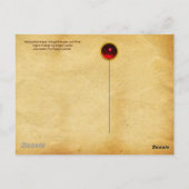 JONG MEISJE, ANTIEMKWEEKERIJDROEVEN EN WIJN BRIEFKAART (Achterkant)