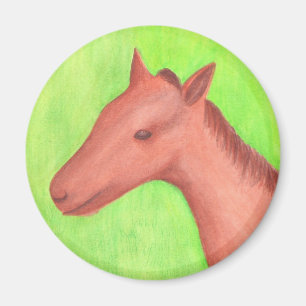 Jong paard, pony, in waterverf magneet
