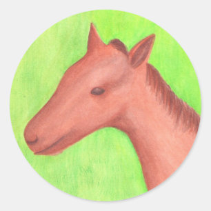 Jong paard, pony, in waterverf Stickers