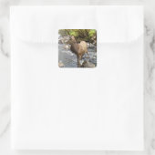 Jong Ree Wildlife Bos Dieren Kunst Vierkante Sticker (Tas)