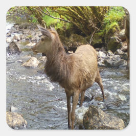 Jong Ree Wildlife Bos Dieren Kunst Vierkante Sticker