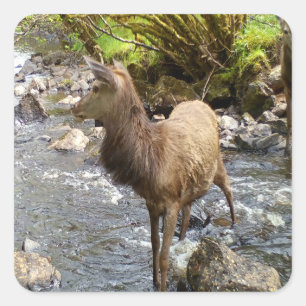 Jong Ree Wildlife Bos Dieren Kunst Vierkante Sticker