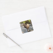 Jong Ree Wildlife Bos Dieren Kunst Vierkante Sticker (Envelop)