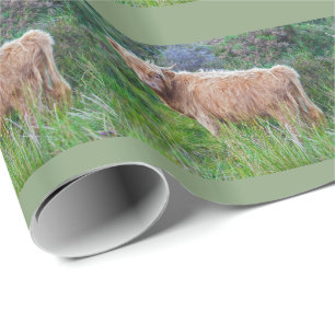 Jong Schots Hooglandrund Inpakpapier