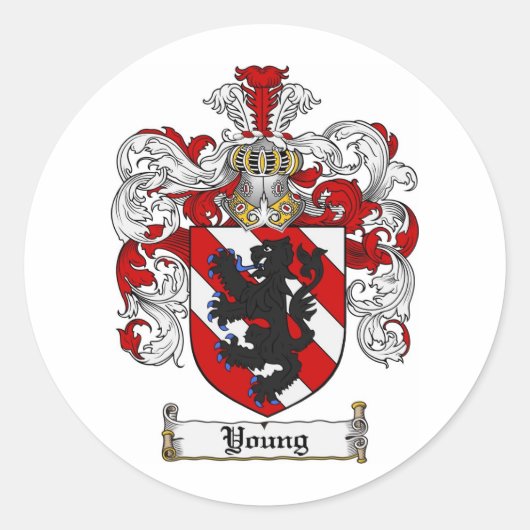 Jong wapen Jong Familie Crest Ronde Sticker (Voorkant)