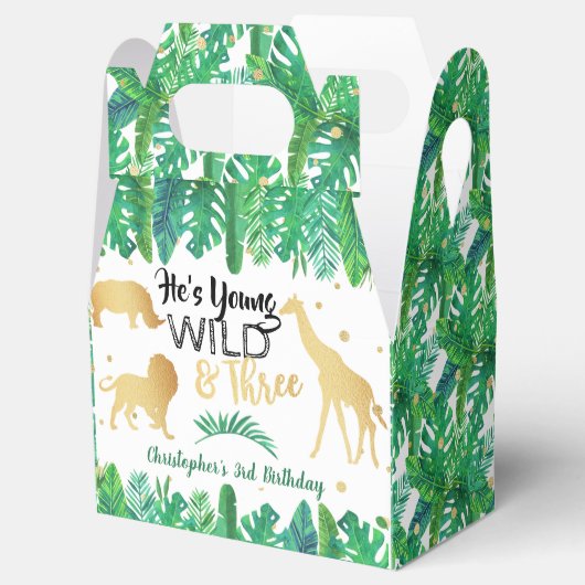 Jong Wild en Drie jongens Derde verjaardag Bedankdoosjes (Geopend)
