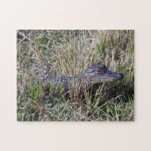 Jonge Alligator in Moerasgras Wilde Natuur  Legpuzzel