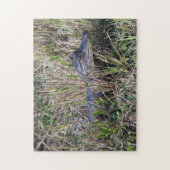 Jonge Alligator in Moerasgras Wilde Natuur  Legpuzzel (Verticaal)