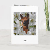 Jonge alpaca in witte bloesems, kaart (Achterkant)