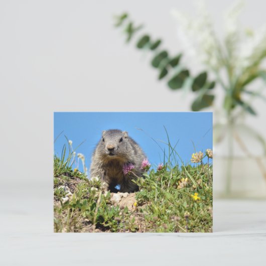 Jonge Alpenmarmot Briefkaart (Staand voorkant)