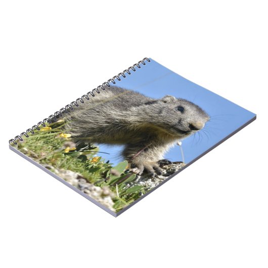 Jonge Alpenmarmot Notitieboek (Linkerzijde)
