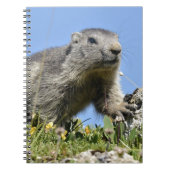 Jonge Alpenmarmot Notitieboek (Voorkant)