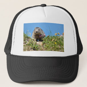 Jonge Alpenmarmot Trucker Pet
