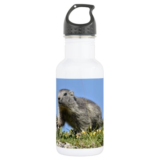 Jonge Alpenmarmot Waterfles (Voorkant)
