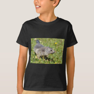 Jonge Alpiene marmot in gras T-shirt
