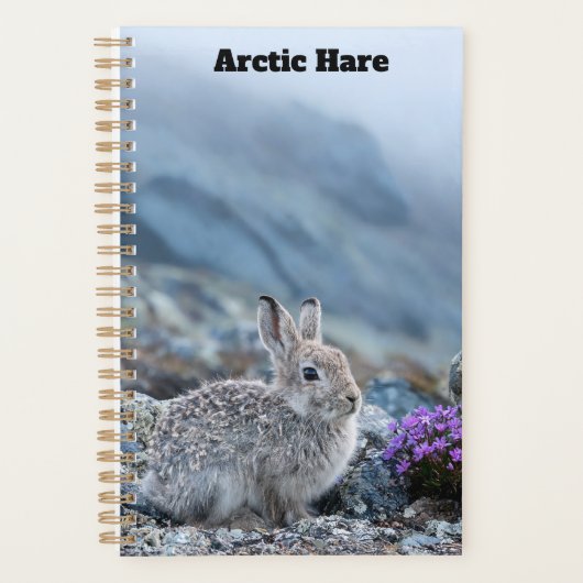 Jonge Arctische Haas Planner (Voorkant)