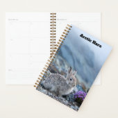 Jonge Arctische Haas Planner (Display)