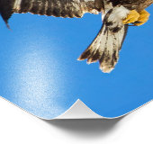 Jonge Bald wordt opgestaan en omhoog Foto Afdruk (Hoek)