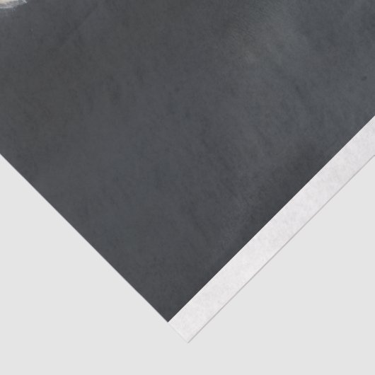 Jonge Ballerina 1 Decoupage Papier (Detail)