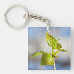 Jonge bladeren sleutelhanger