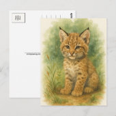Jonge Bobcat Kitten Kat Baby Wilde Dieren Briefkaa Briefkaart (Voorkant / Achterkant)