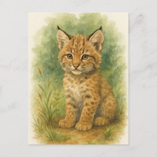 Jonge Bobcat Kitten Kat Baby Wilde Dieren Briefkaa Briefkaart (Voorkant)