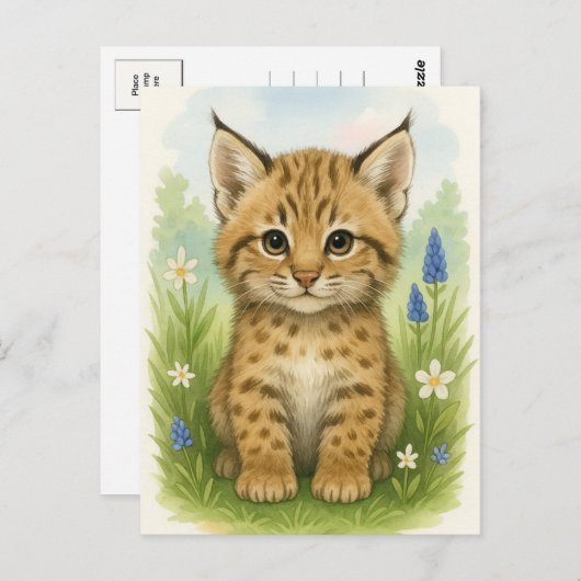 Jonge Bobcat Kitten Kat Baby Wilde Dieren Briefkaa Briefkaart (Voorkant / Achterkant)