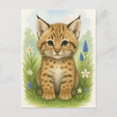 Jonge Bobcat Kitten Kat Baby Wilde Dieren Briefkaa Briefkaart (Voorkant)