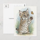 Jonge Bobcat Kitten Kat Baby Wilde Dieren Briefkaa Briefkaart (Voorkant / Achterkant)