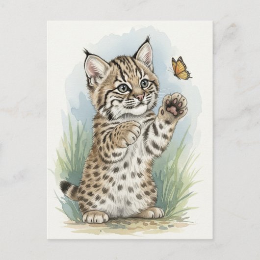 Jonge Bobcat Kitten Kat Baby Wilde Dieren Briefkaa Briefkaart (Voorkant)