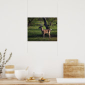 Jonge bokposter poster (Keuken)