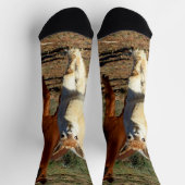 Jonge bruine en witte alpaca's, Sokken van Crewy (Top)