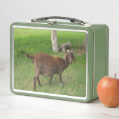 Jonge bruine geit in gras (In situ)