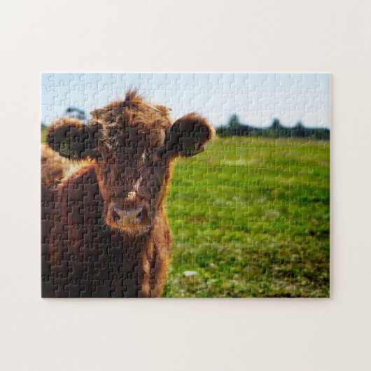 Jonge bruine Koe in het veld Pasture Legpuzzel (Horizontaal)