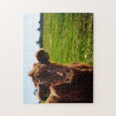 Jonge bruine Koe in het veld Pasture Legpuzzel (Verticaal)