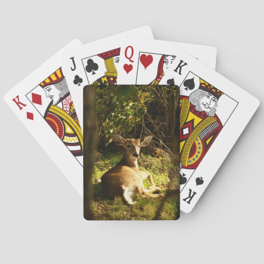 Jonge Buck Bicycle-speelkaarten Pokerkaarten (Achterkant)