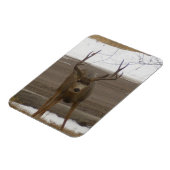 Jonge Buck Flexibele Magneet (Linkerzijde)