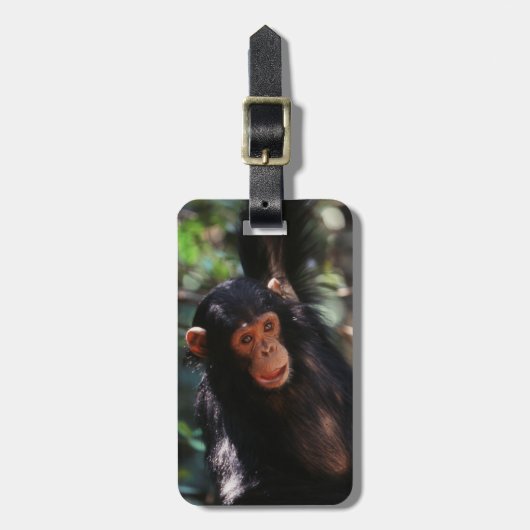 jonge chimpansee bagagelabel (Voorkant verticaal)