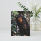 jonge chimpansee briefkaart (Staand voorkant)