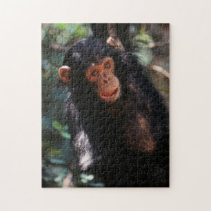 Jonge chimpansee legpuzzel
