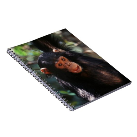 jonge chimpansee notitieboek (Rechterzijde)