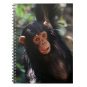 jonge chimpansee notitieboek (Voorkant)